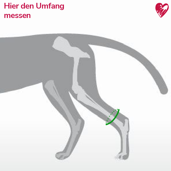 Trainingsbandage