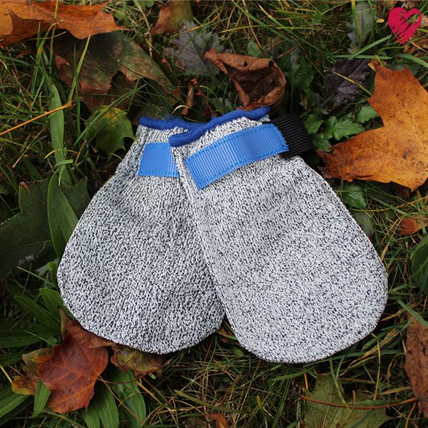 Universal-Pfotenschutz niedrig