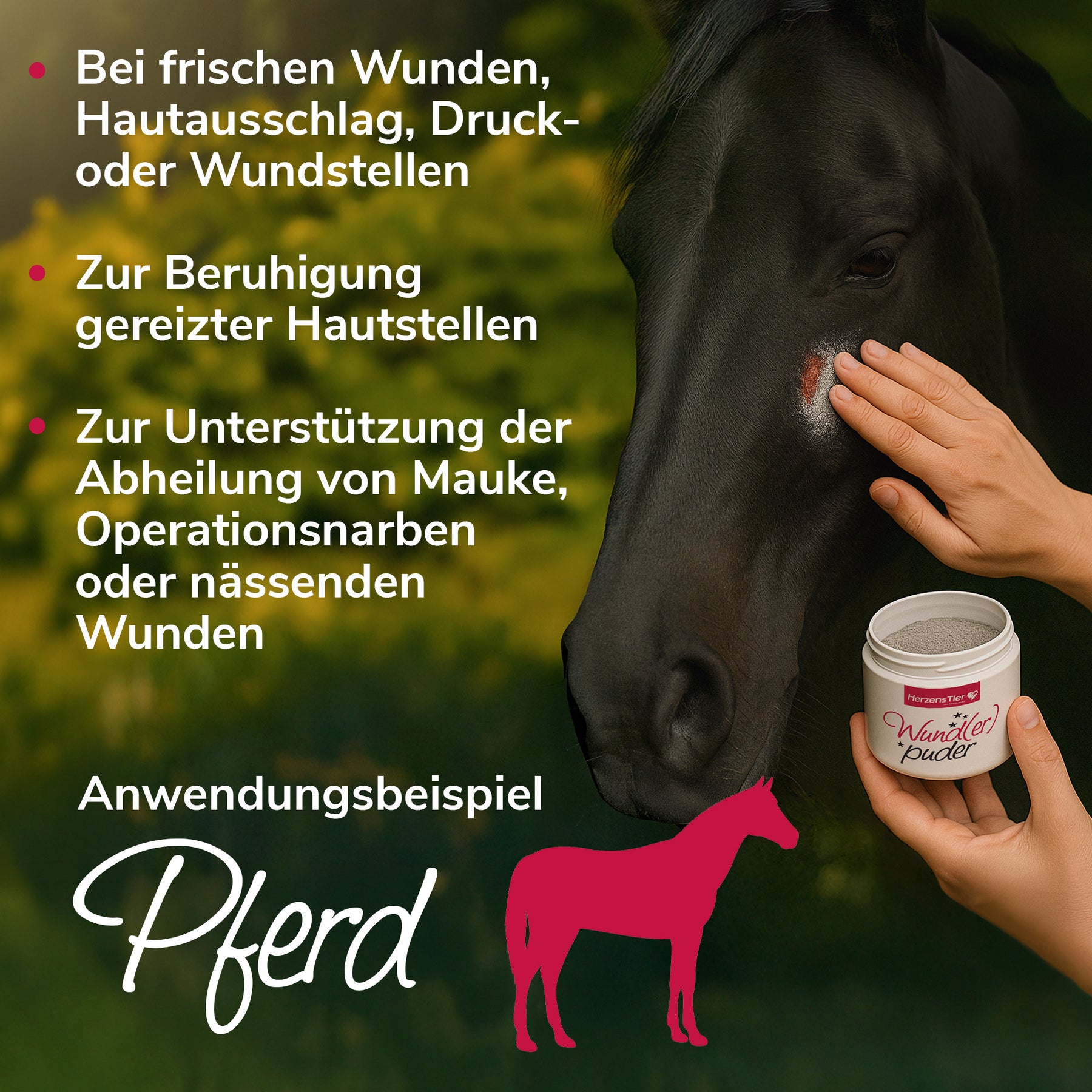 Wunderpuder Inhaltsstoffe Pferd