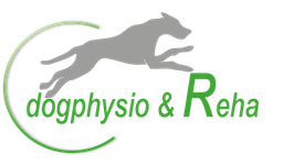 Logo dogphysio & Reha