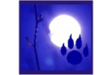 Logo Tierhilfe Bluemoon & Pfötchen e.V.