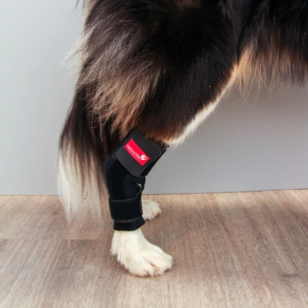 Sprunggelenkbandage Ausmessen und Anlegen