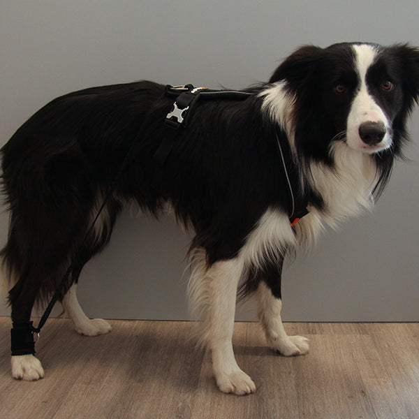 Trainingsbandage Ausmessen und Anlegen