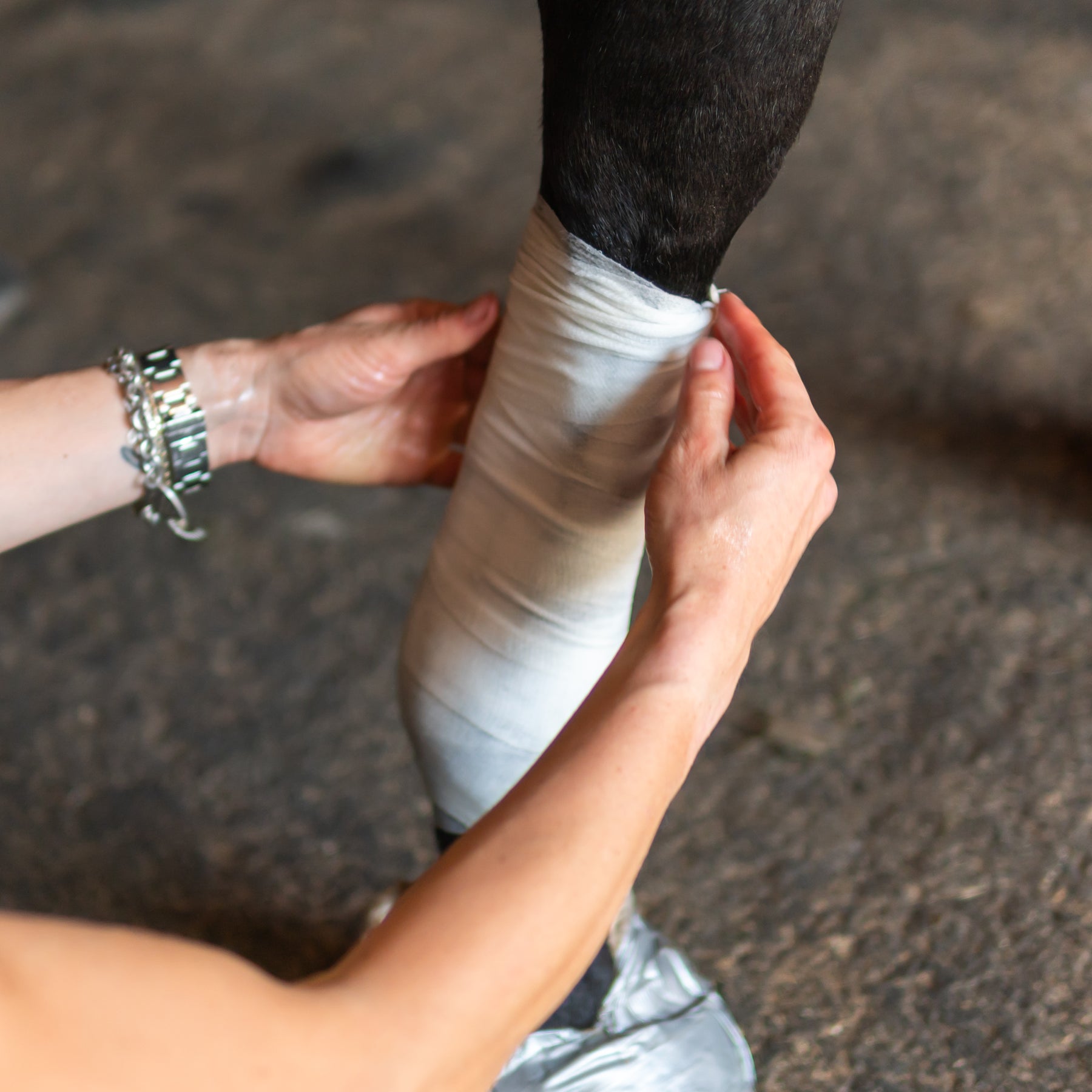 Murmelwunderwickel Lifestyle 2