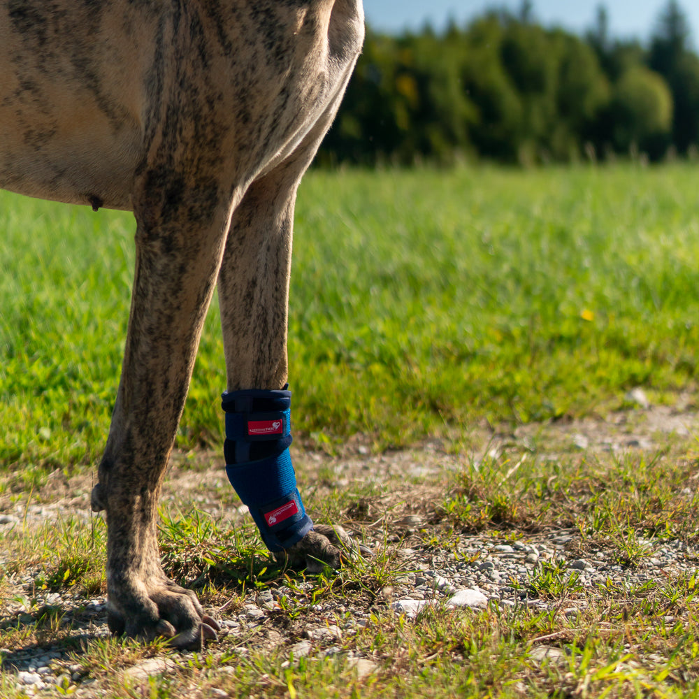 Karpalbandage Schaumstoff bei Bandinstabilität, Entzündung, Lahmheit