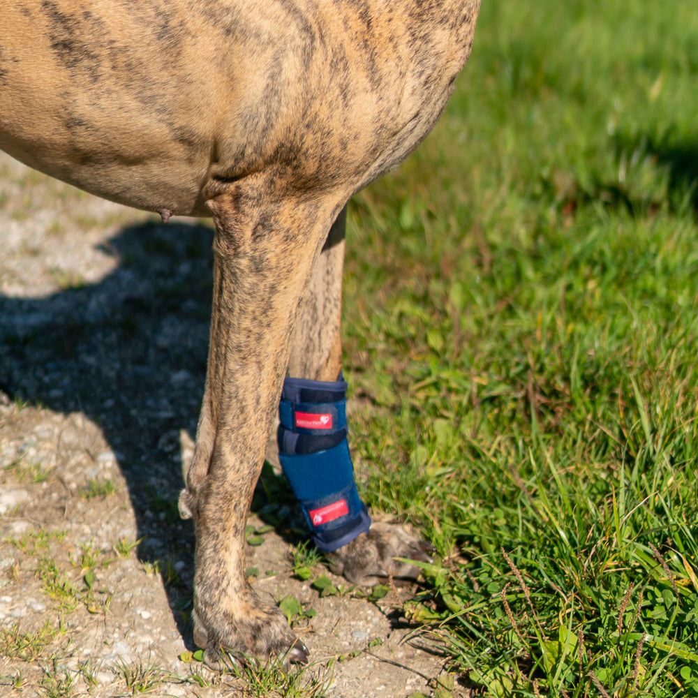 Karpalbandage Schaumstoff bei Bandinstabilität, Entzündung, Lahmheit