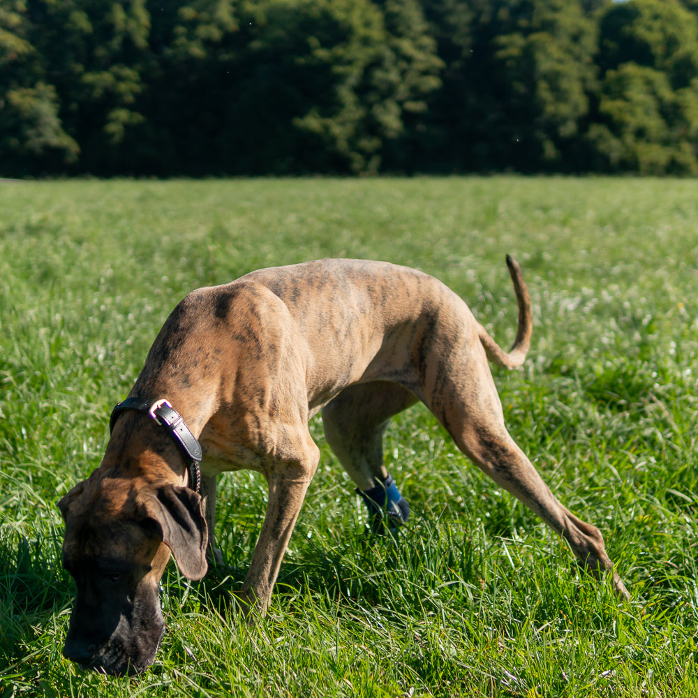 Sprunggelenkbandage Schaumstoff zur Ruhigstellung bei Bandinstabilitäten