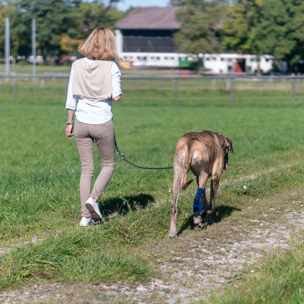 Sprunggelenkbandage Schaumstoff zur Ruhigstellung bei Bandinstabilitäten