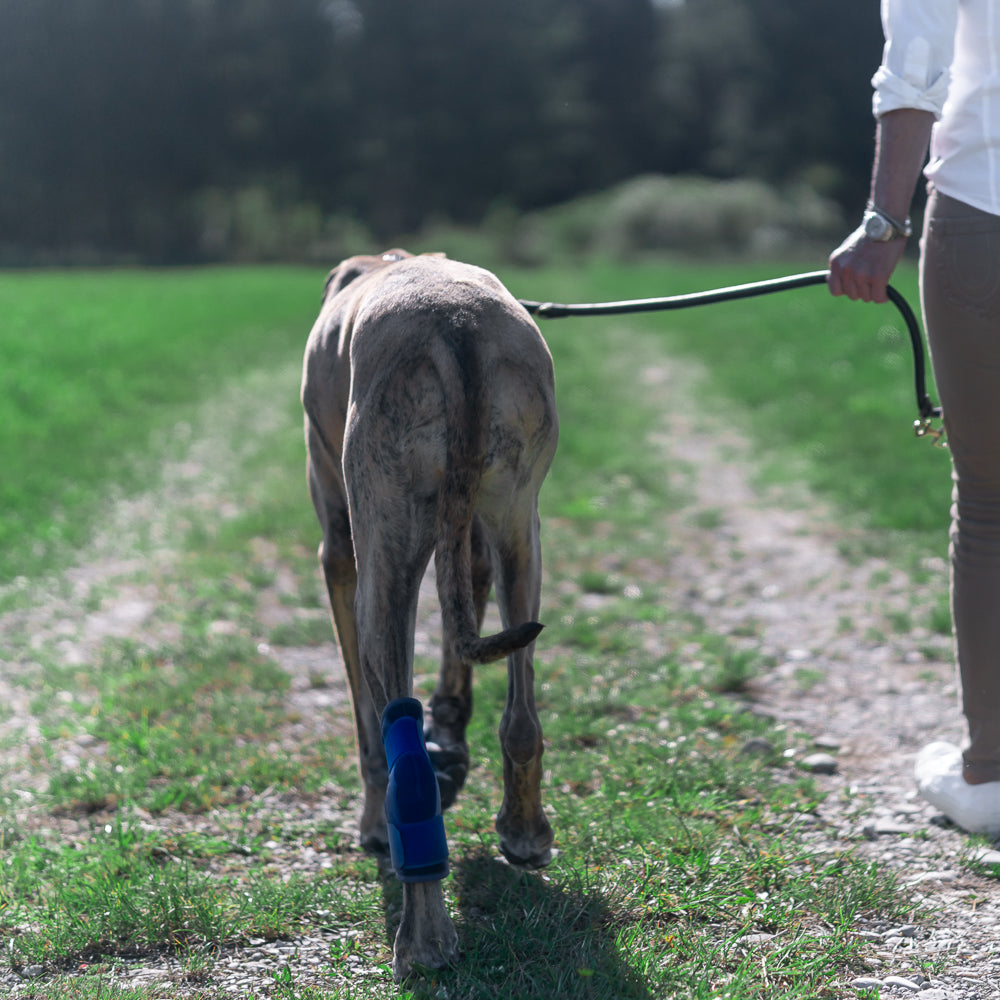 Sprunggelenkbandage Schaumstoff zur Ruhigstellung bei Bandinstabilitäten