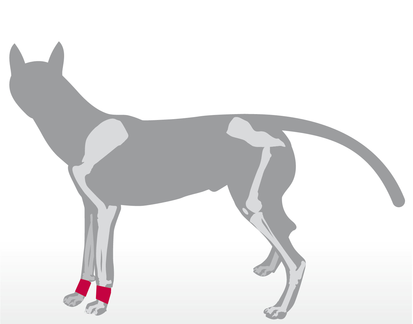 Krallenschutzbandage für Daumenkralle & Wolfskralle