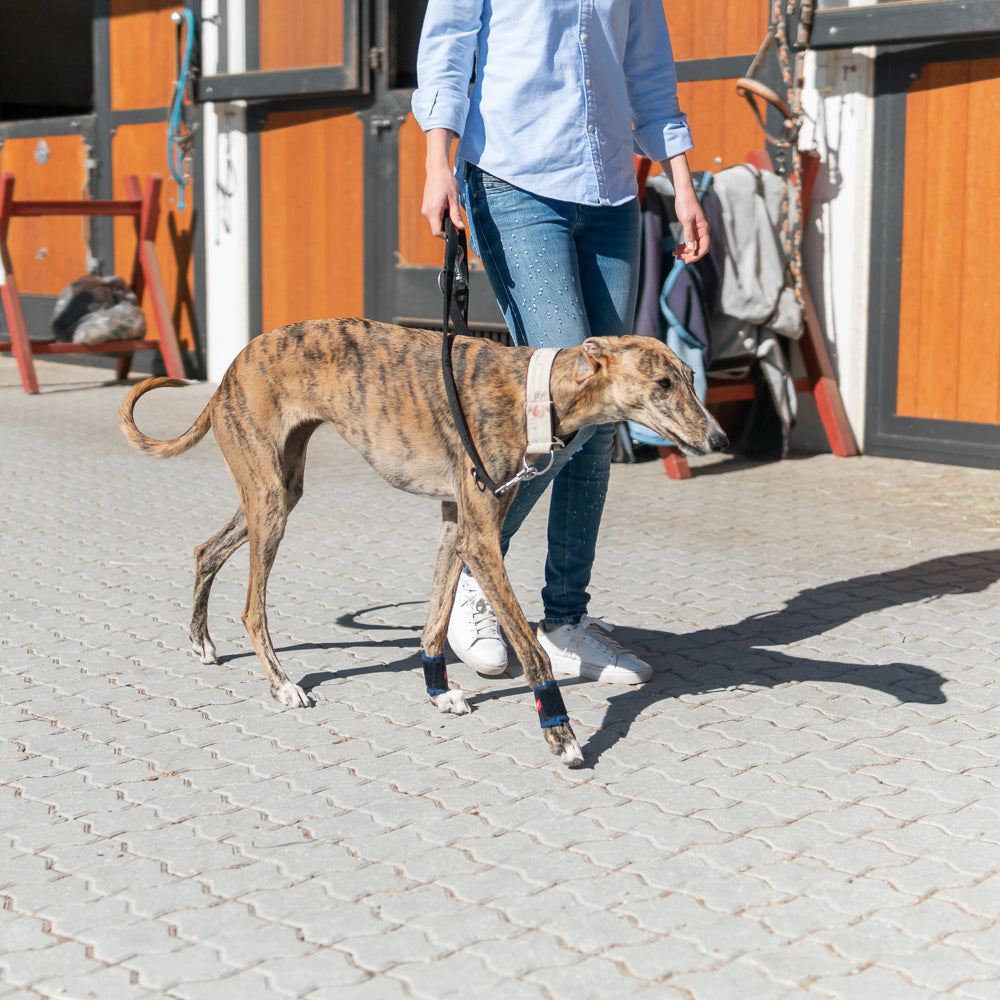 Krallenschutzbandage für Daumenkralle & Wolfskralle