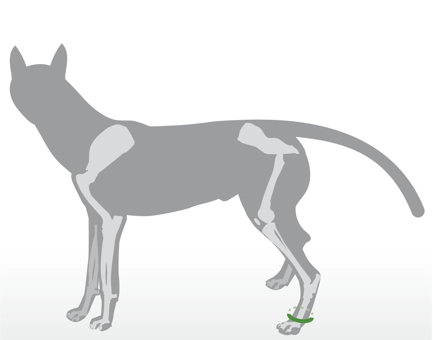 Krallenschutzbandage für Daumenkralle & Wolfskralle