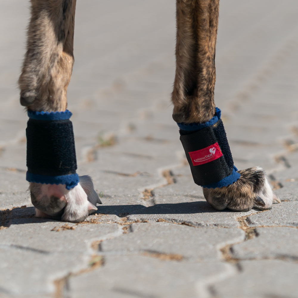 Krallenschutzbandage für Daumenkralle & Wolfskralle