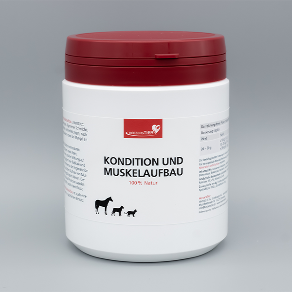 HerzensTier Kondition und Muskelaufbau