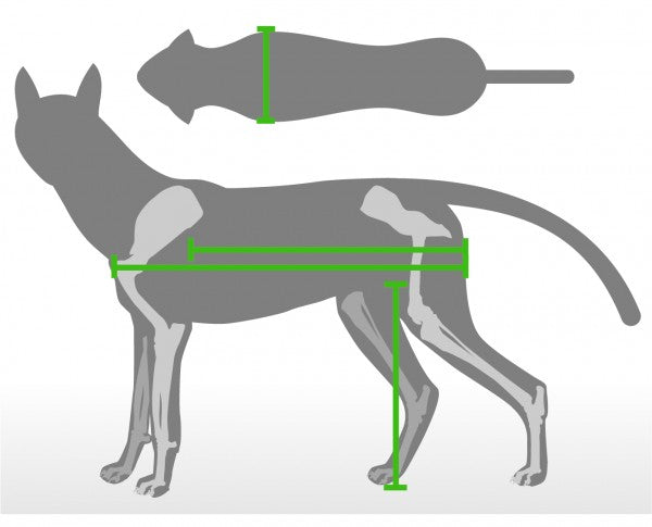 Walkin' Wheels Frontanbau 6 - 11 kg (für Hunde- & Katzen-Rollwagen)