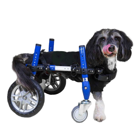 Walkin' Wheels Frontanbau 6 - 11 kg (für Hunde- & Katzen-Rollwagen)