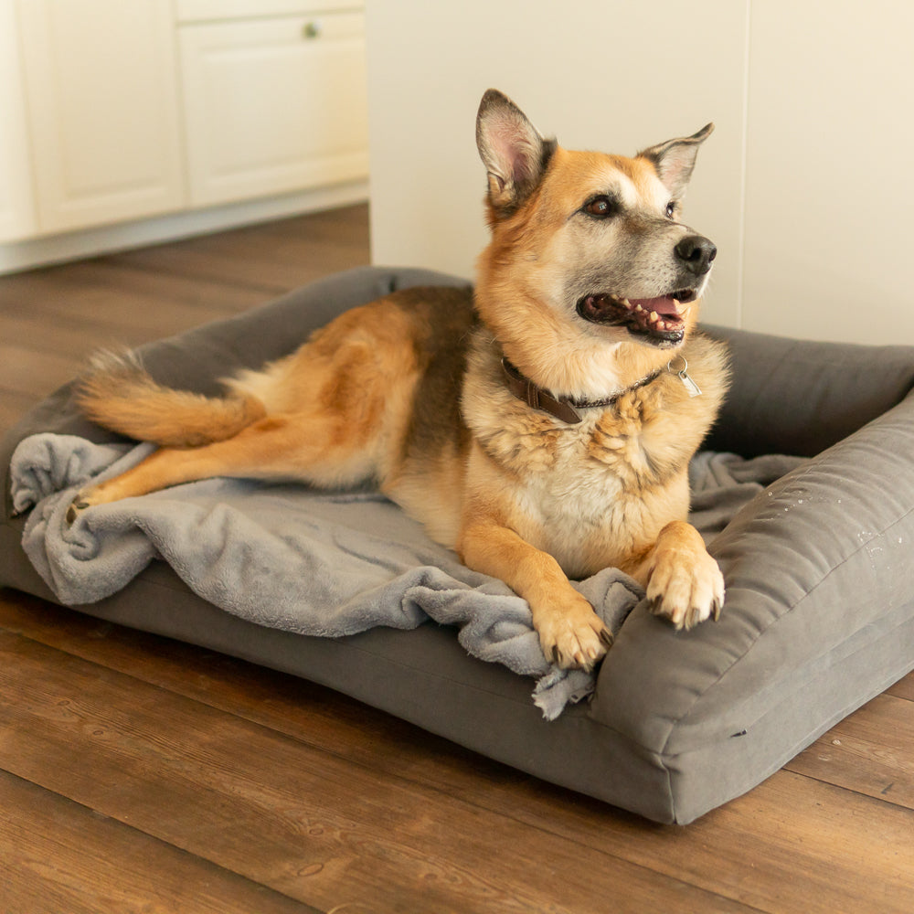 Kuscheldecke für den Schlafplatz