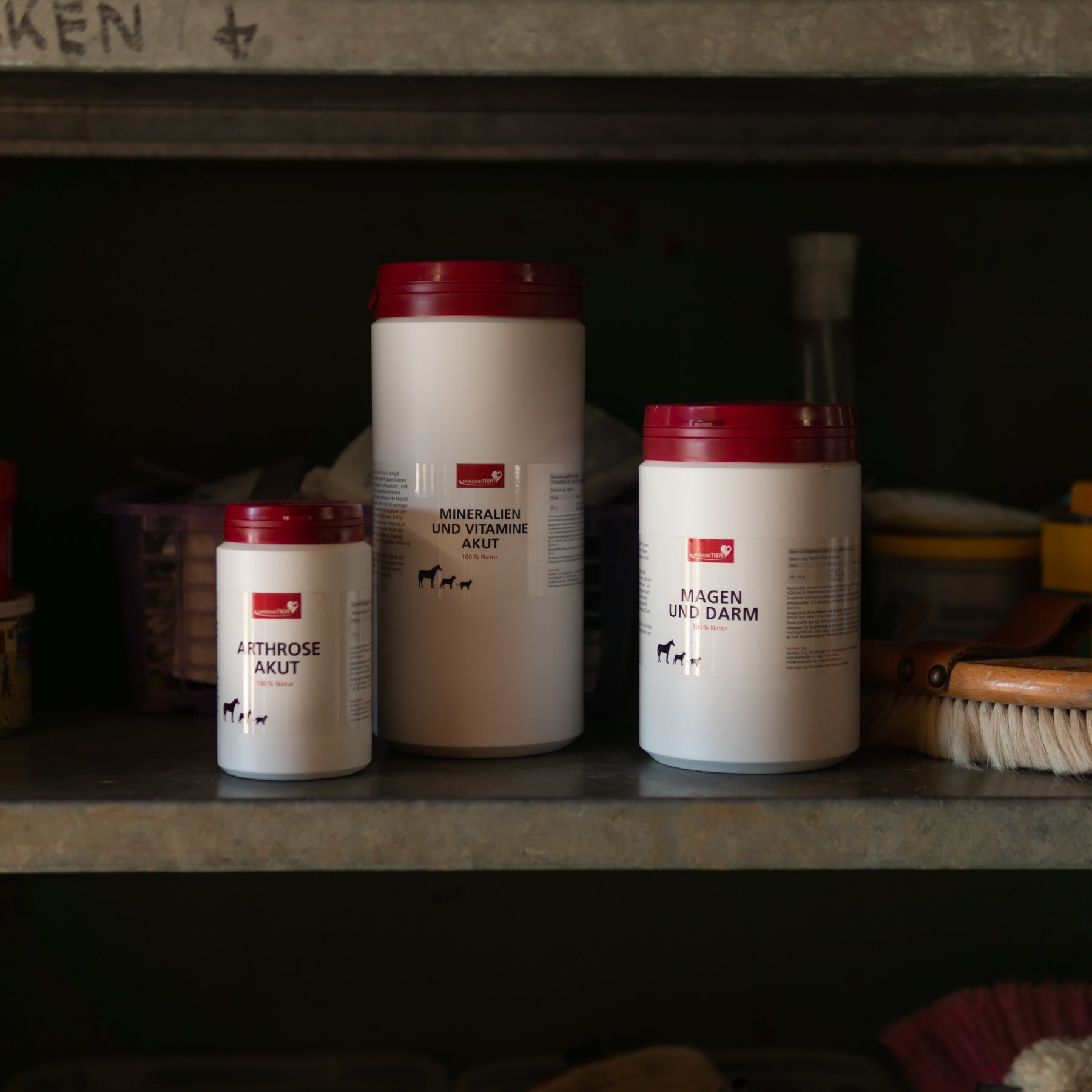 HerzensTier Arthrose akut