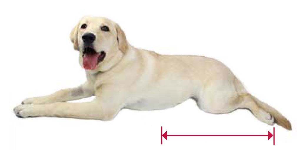 Rutsch- und Schutzsack für gelähmte Hunde & Katzen