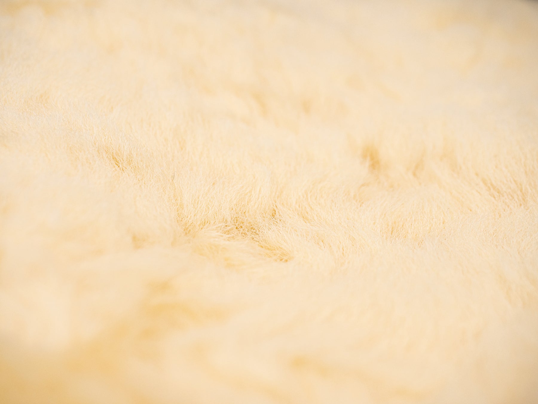 CosyCover Sattelpad