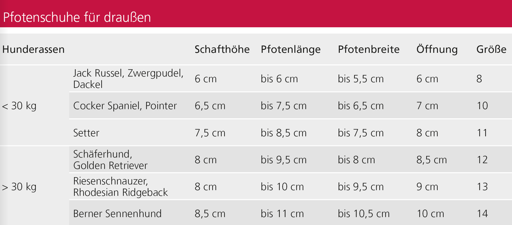 Pfotenschuhe für draußen