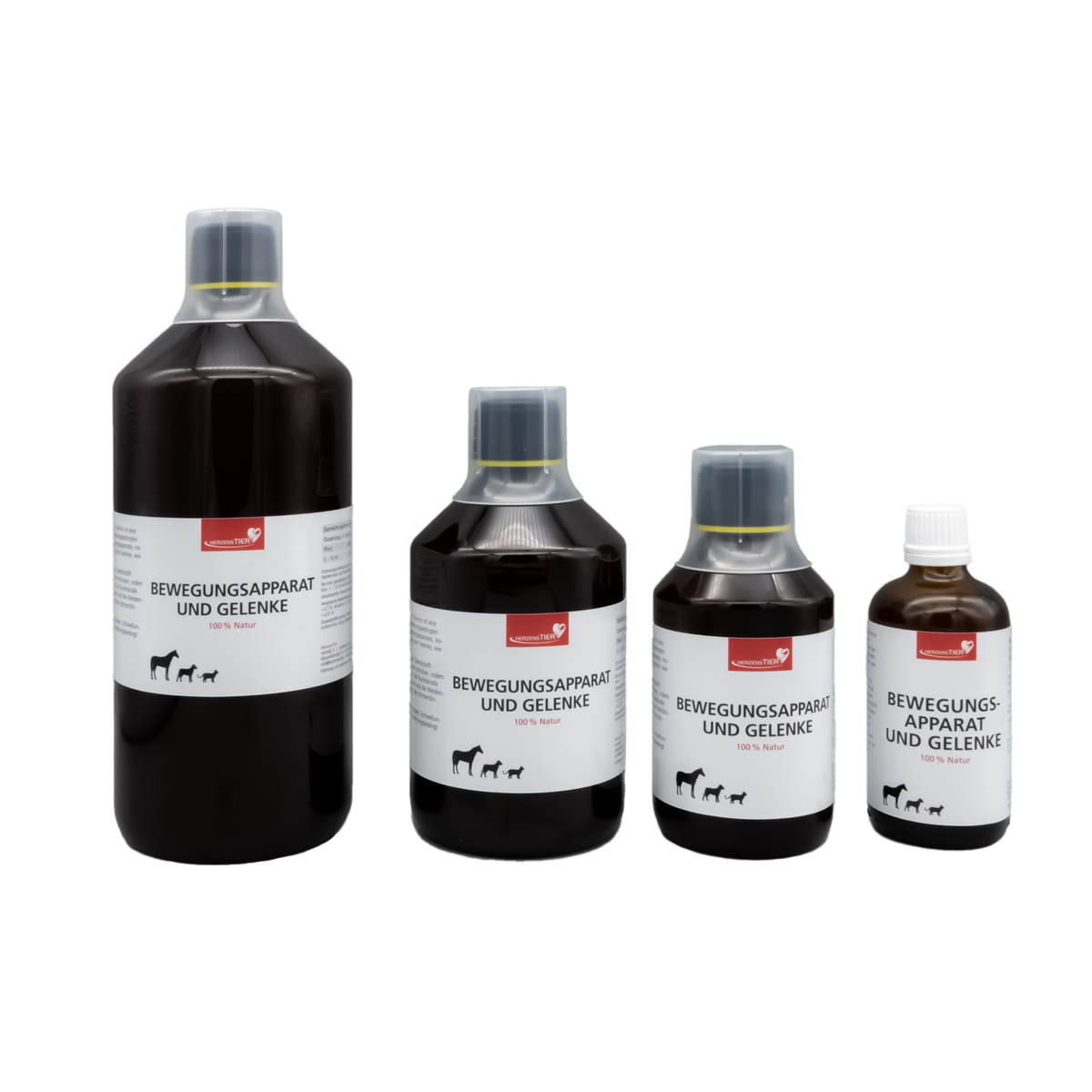 Produkt Bewegungsapparat und Gelenke