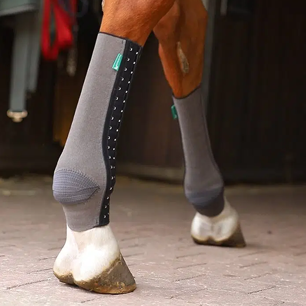EquiCrown fit Silver Kompressionsbandage