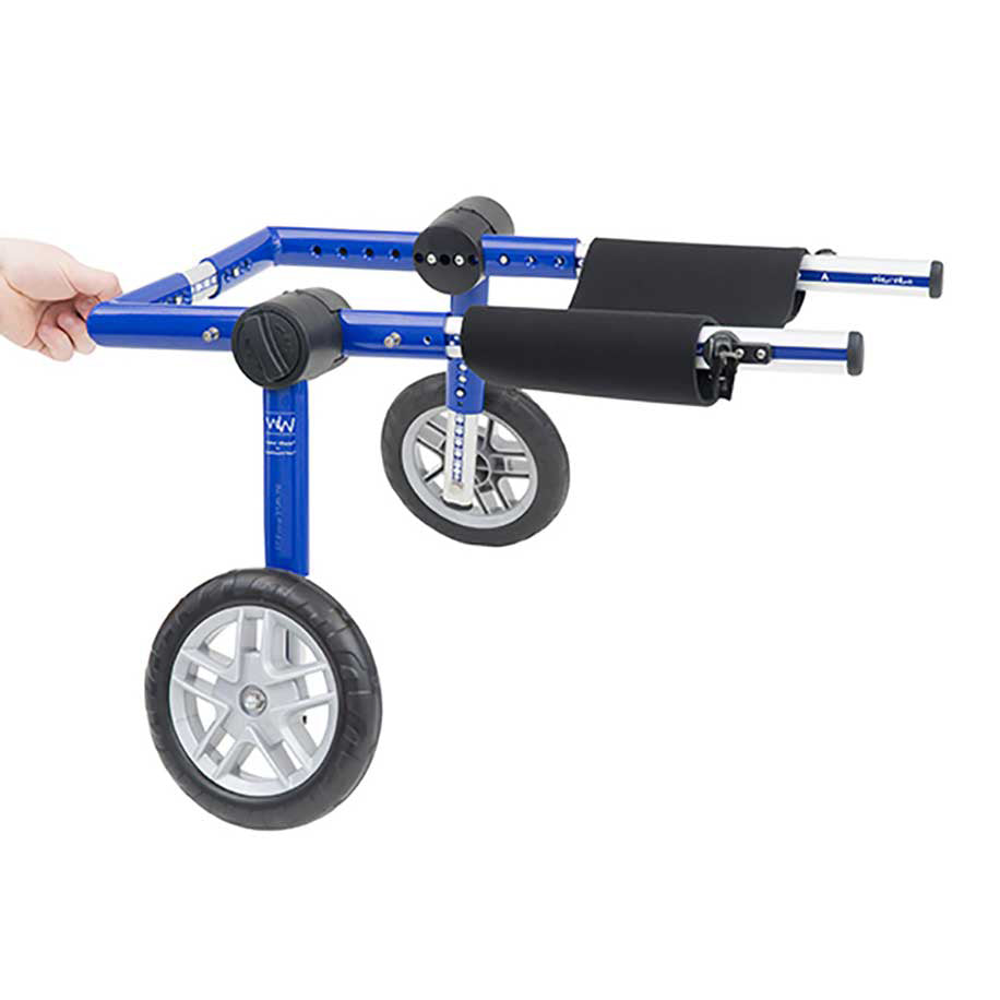 Breiter Bauchgurt für Rollwagen