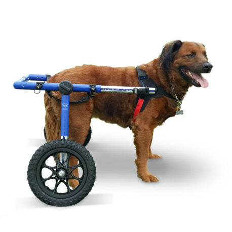 Walkin' Wheels Rollwagen für Hunde mit 32 - 82 kg