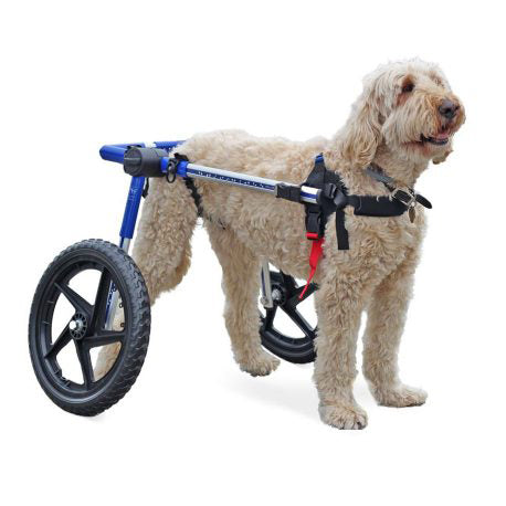 Walkin' Wheels Rollwagen für Hunde mit 32 - 82 kg