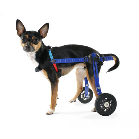 Walkin' Wheels Rollwagen für Hunde/Katzen mit 1 - 5 kg