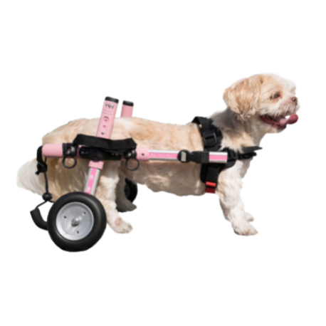 Walkin' Wheels Rollwagen für Hunde & Katzen mit 6 - 11 kg