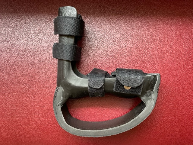 Hund Endoprothese Prothese Lähmung Carbon