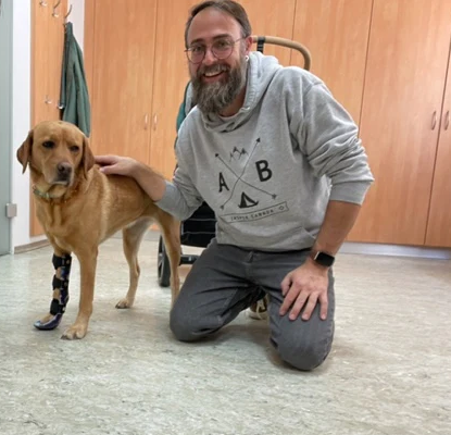 Hund Orthese Labrador