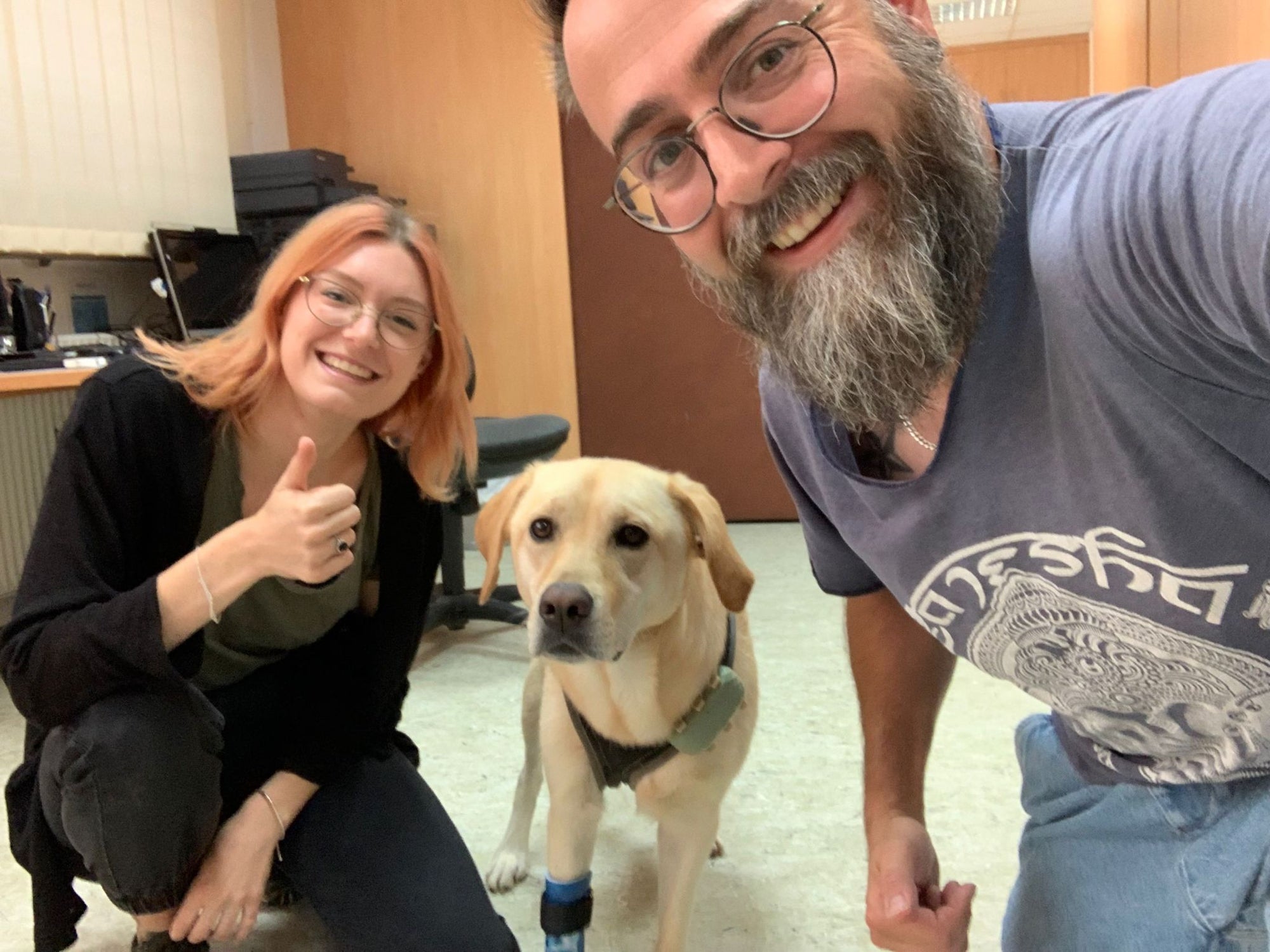 HerzensTier Prothese Vorderbein Hund