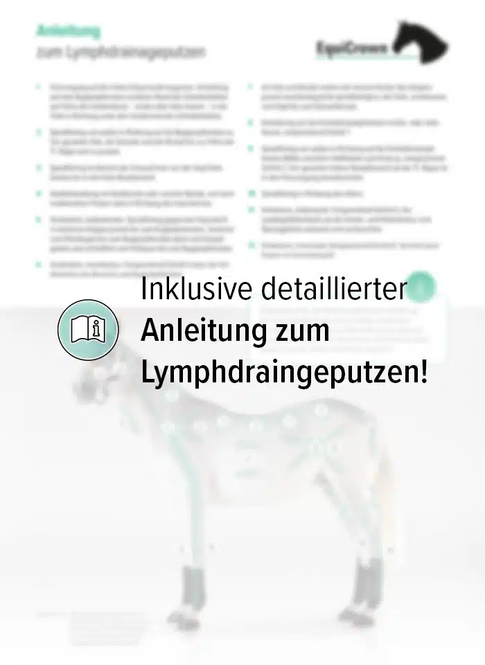 Massagestriegel