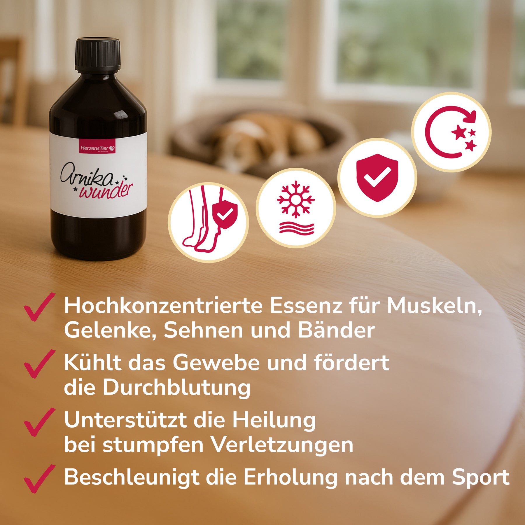 Arnikawunder für Muskeln, Gelenke, Sehnen und Bänder