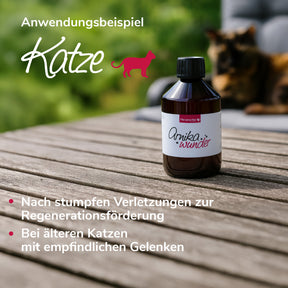 Arnikawunder für Muskeln, Gelenke, Sehnen und Bänder