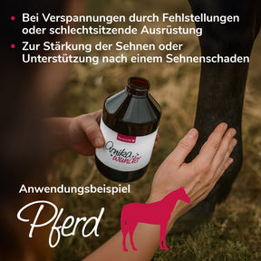 Arnikawunder für Muskeln, Gelenke, Sehnen und Bänder