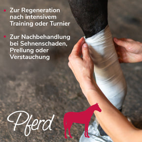 Arnikawunderwickel bei Verletzungen, zur Regeneration