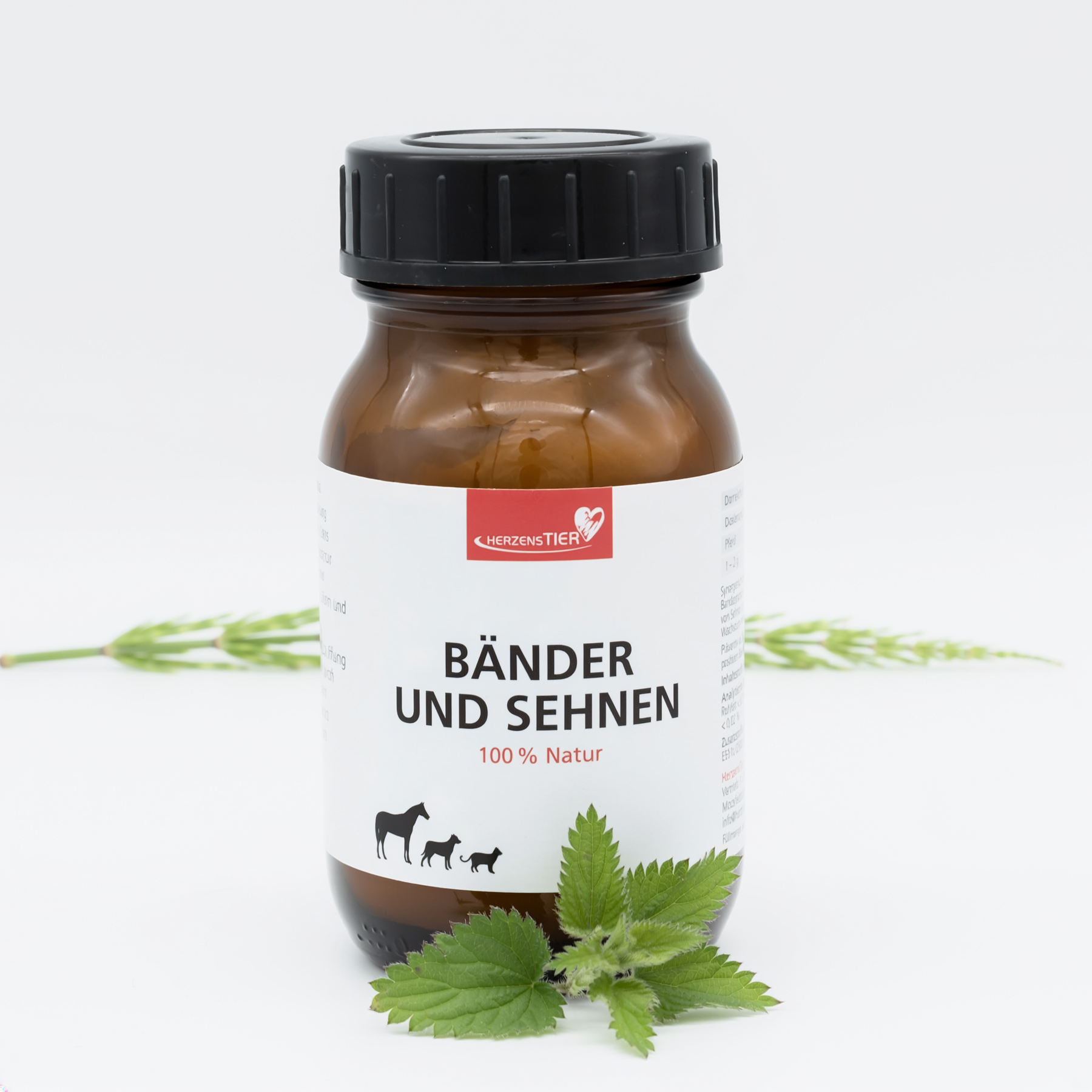 Bander und Sehnen Hauptbild