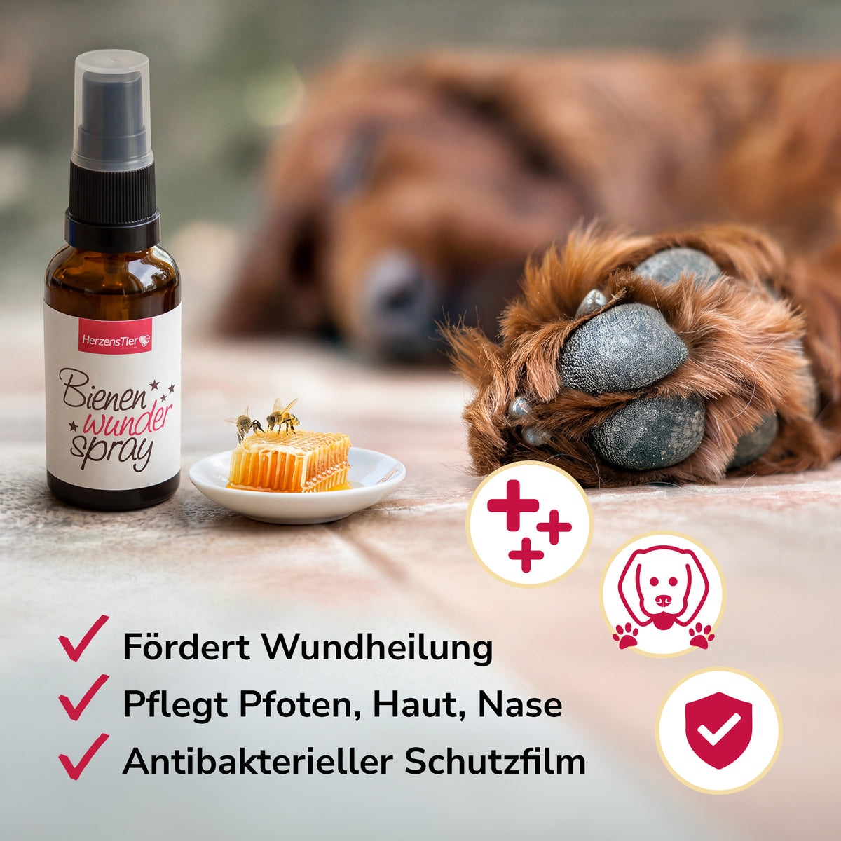 Bienenwunderspray für Pfote, Haut & Nase