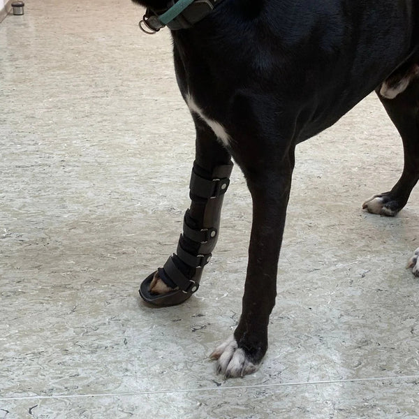 Karpalgelenksorthese