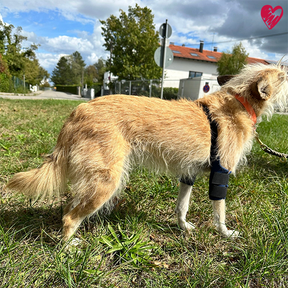 Ellenbogenbandage