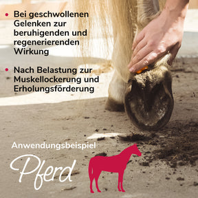 Gelenkwundergel Anwendungsbeispiel Pferd