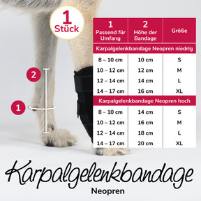 Karpalgelenksbandage Größentabelle