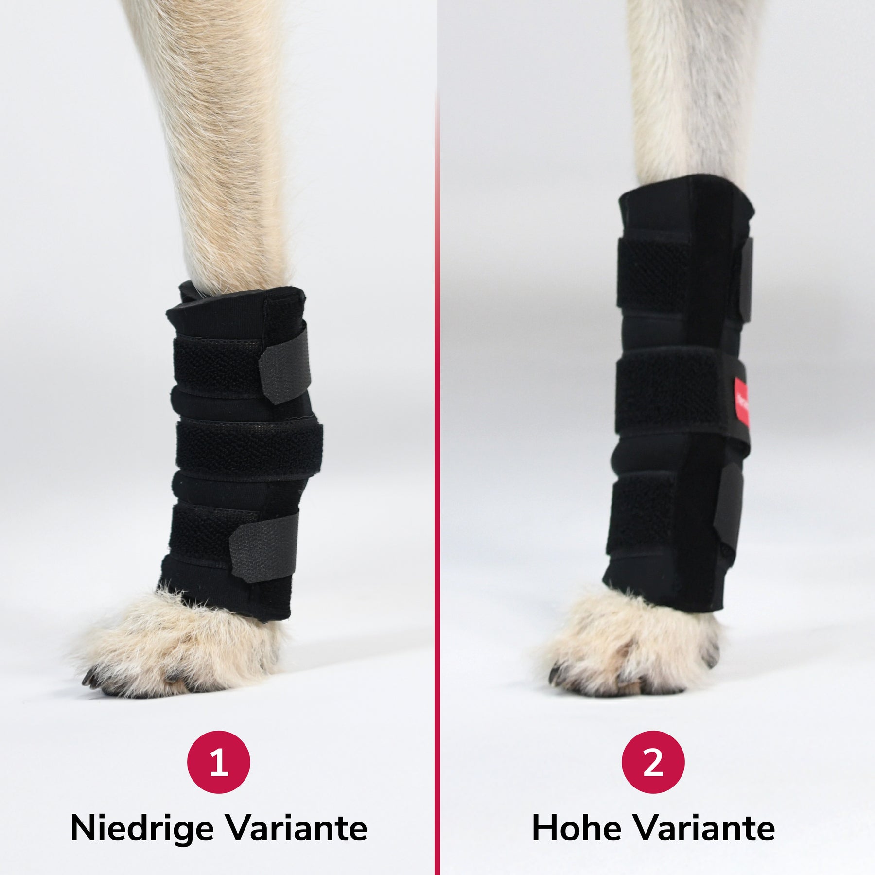Karpalgelenksbandage Höhen unterschied