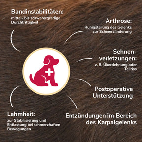 Karpalgelenksbandage Erkrankungen