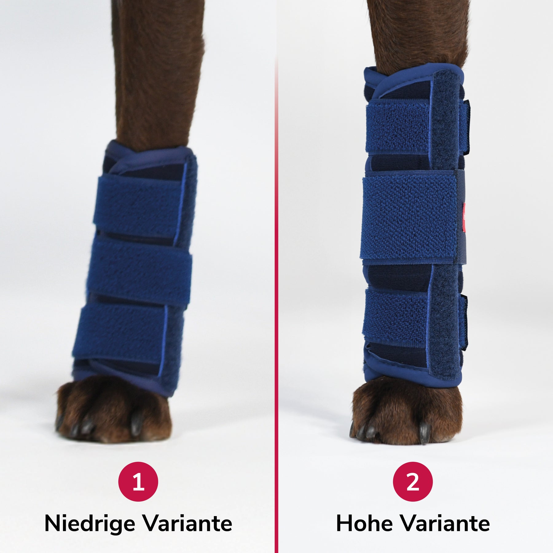 Karpalgelenksbandage Schaumstoff Vergleich