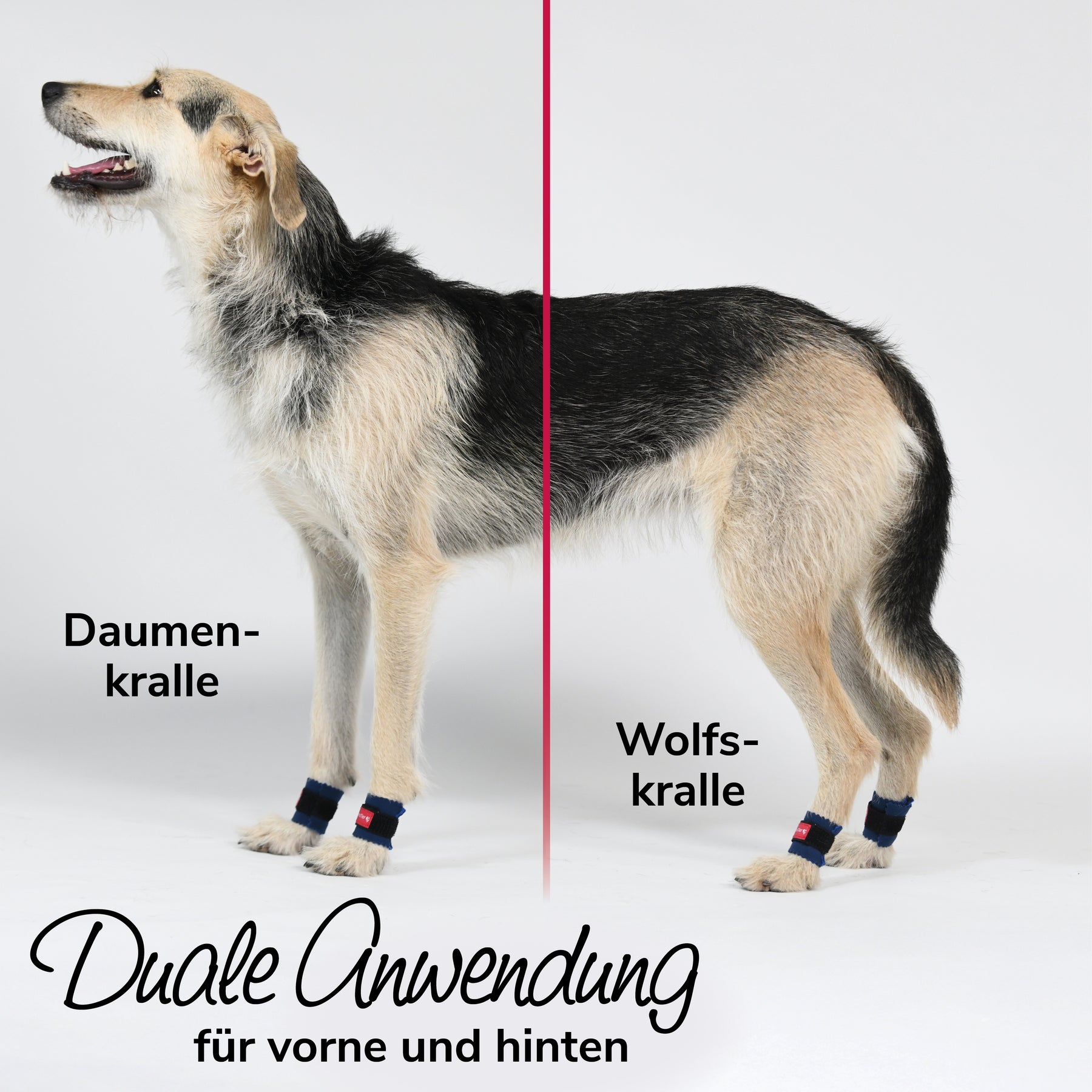 Krallenschutz Duale Anwendung